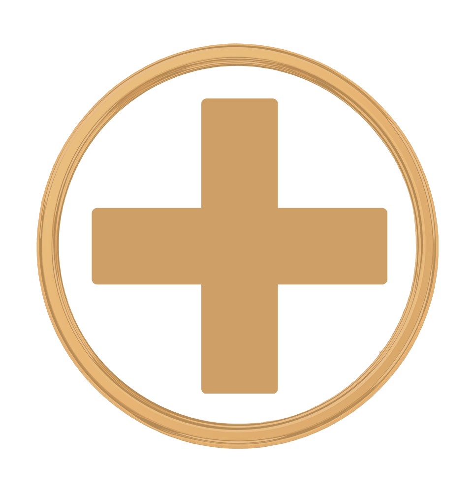 cross medical doctor hospital clinic ambulance vector icon